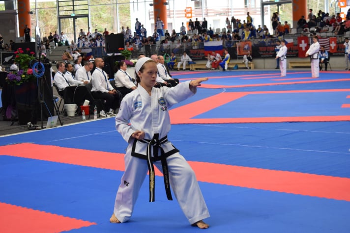 Asociación Taekwon-Do Integral Sur